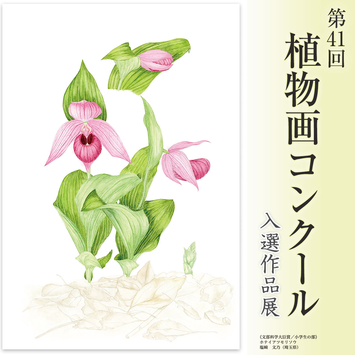 植物画コンクール入選作品展