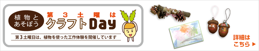 植物とあそぼう。第3土曜はクラフトデー！植物を使った工作体験を開催しています。詳細はこちら