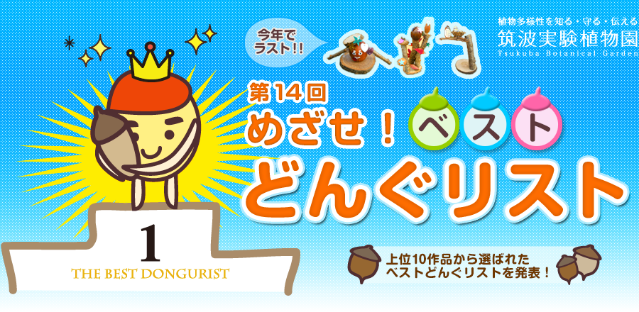 第14回どんぐリスト発表