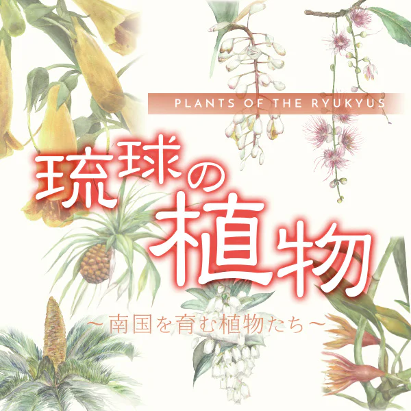 筑波実験植物園 企画展「琉球の植物 ‐南国を育む植物たち‐」