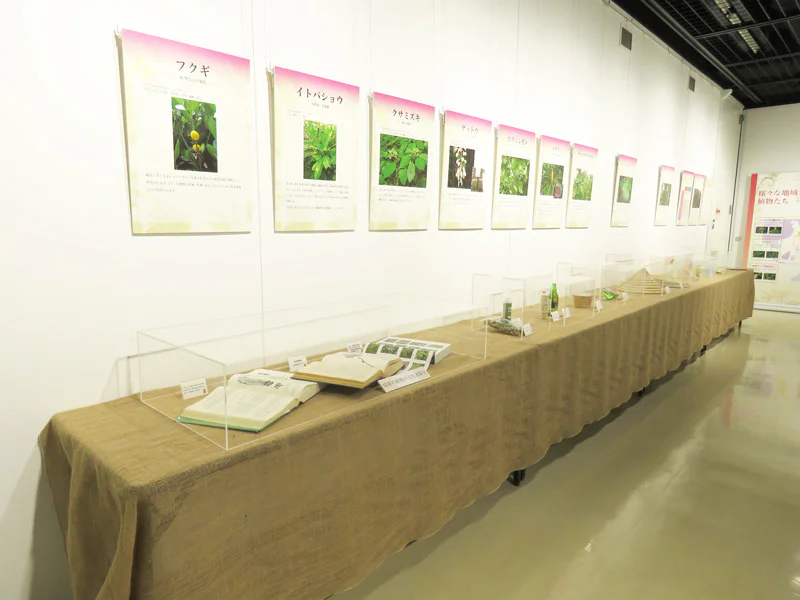 植物とひと-生物資源としての植物-