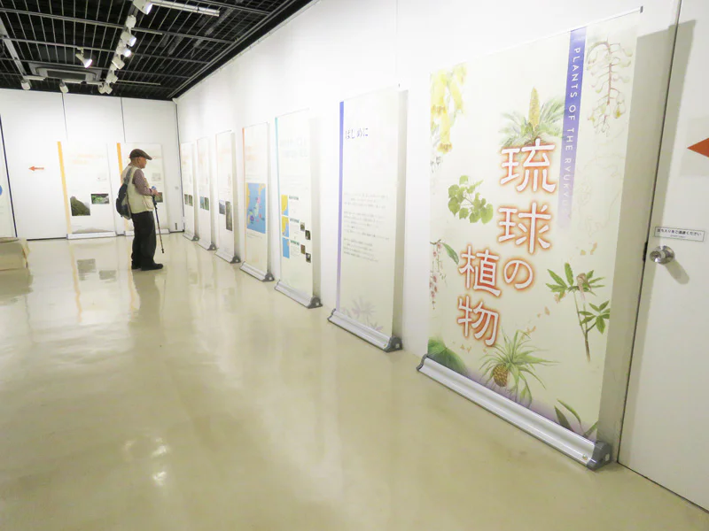 琉球の植物相はなぜ豊富?