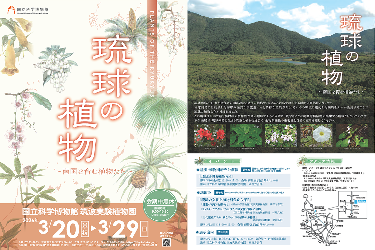 琉球の植物‐南国を育む植物たち‐