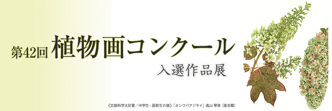第42回植物画コンクール入選作品展 | 筑波実験植物園（つくば植物園