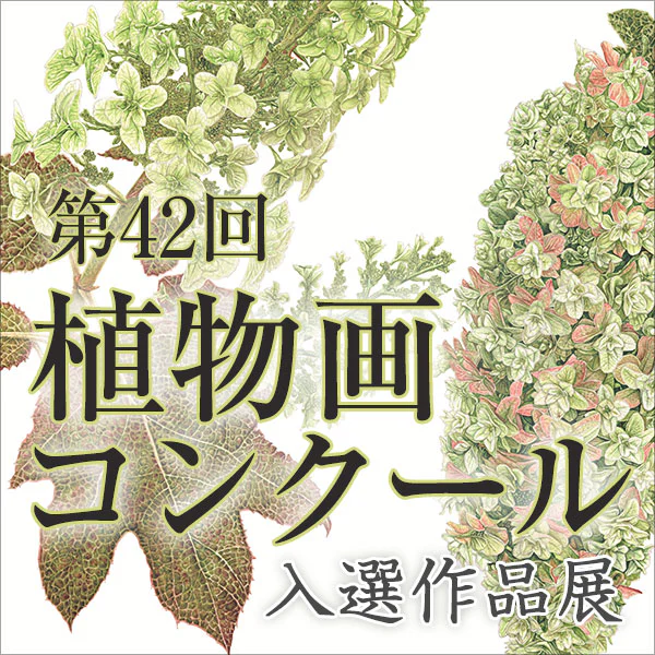 第42回植物画コンクール入選作品展 | 筑波実験植物園（つくば植物園