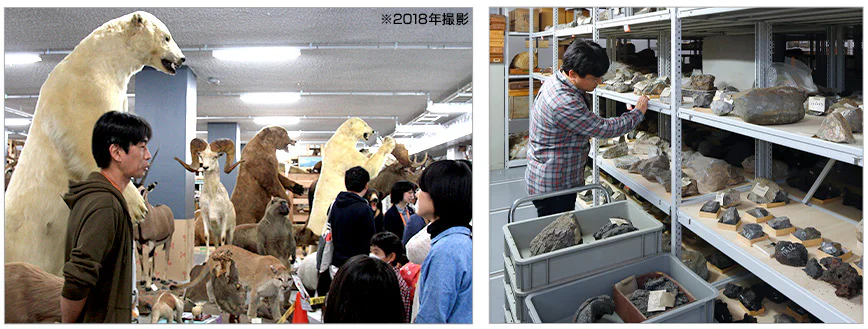 openlabo_pic_02