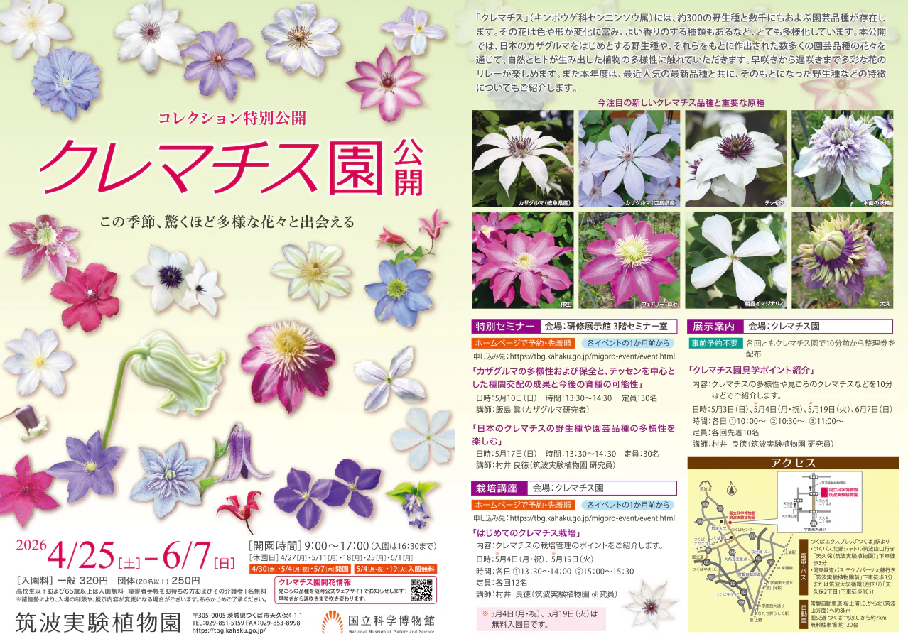 ちらしダウンロード