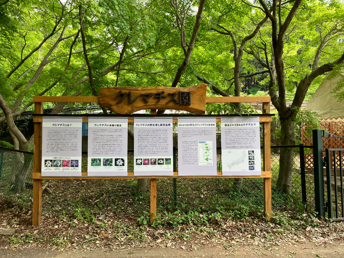 クレマチス園のパネル展示