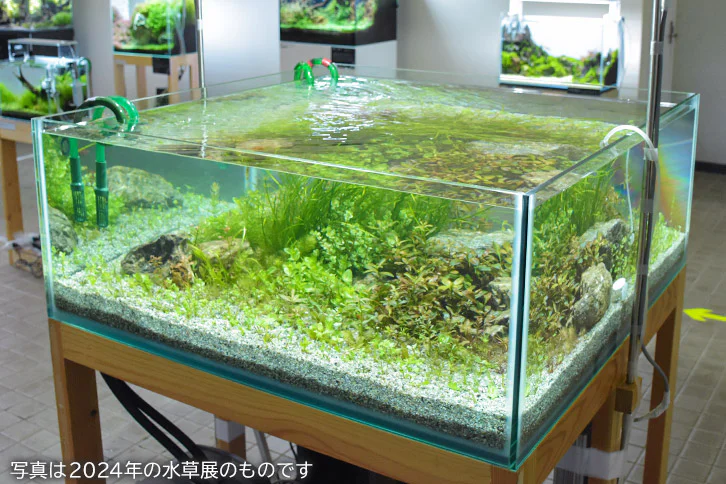 aquarium00