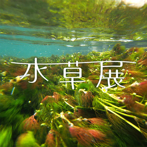水草展2026 ―水辺を生きる多彩なかたち―