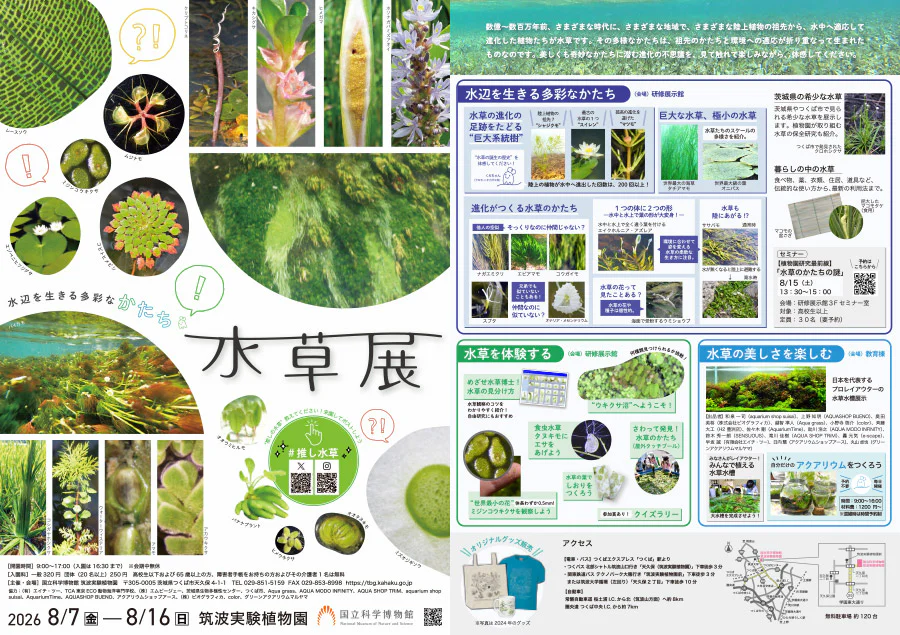 mizukusa2026_flyer