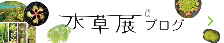 btn_blog