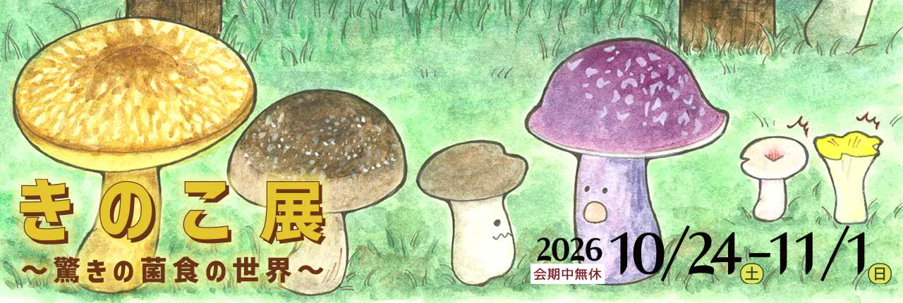 きのこ展2026