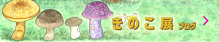 btn_blog