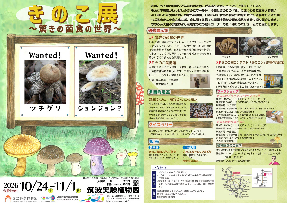 kinoko2026_flyer