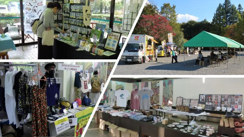 kinokoshop