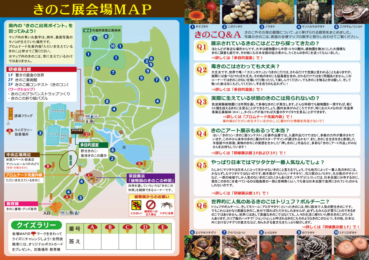 kinoko2026_map