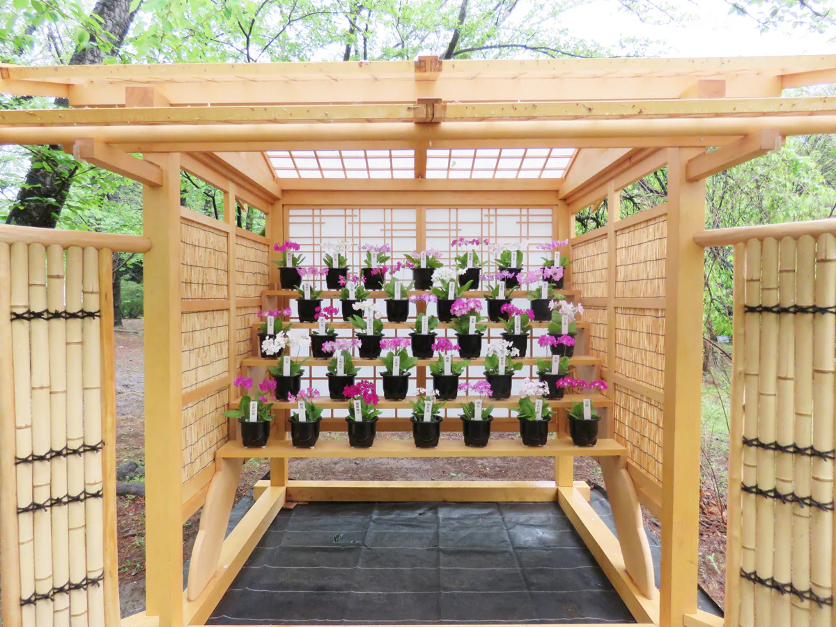 教育棟周辺（日本庭園周辺）