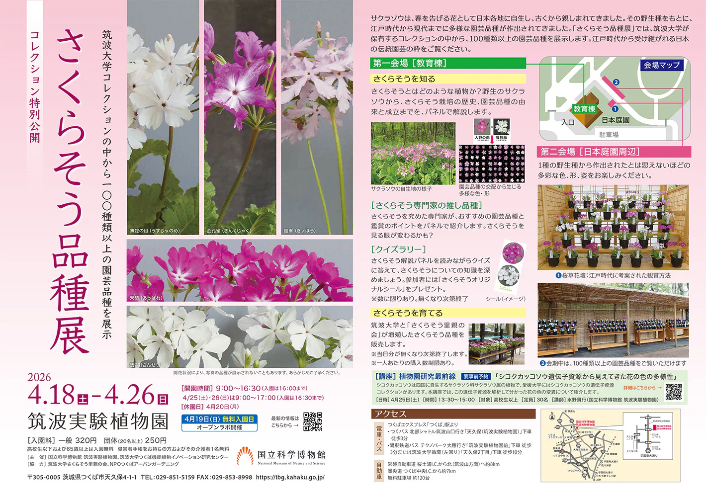 ちらしダウンロード