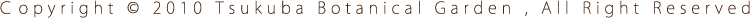 Copyright