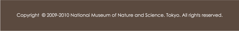 Copyright  c 2009-2010 Nationai Museum of Nature and Science. Tokyo. All rights reserved.