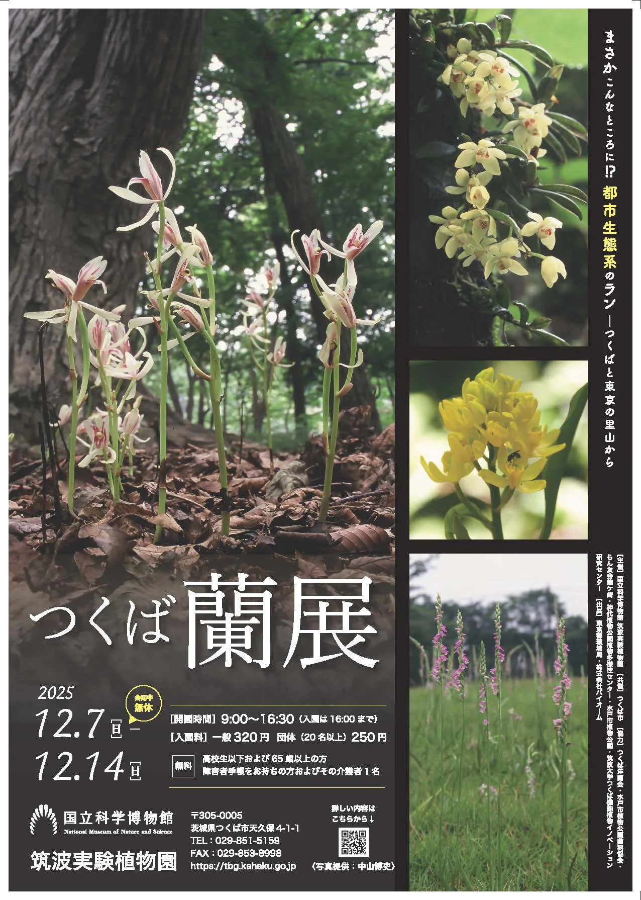つくば蘭展チラシ