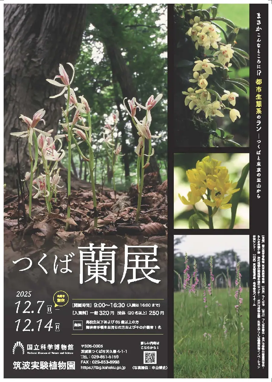 つくば蘭展が開催されます＆関連イベントのご紹介！ | 筑波実験植物園