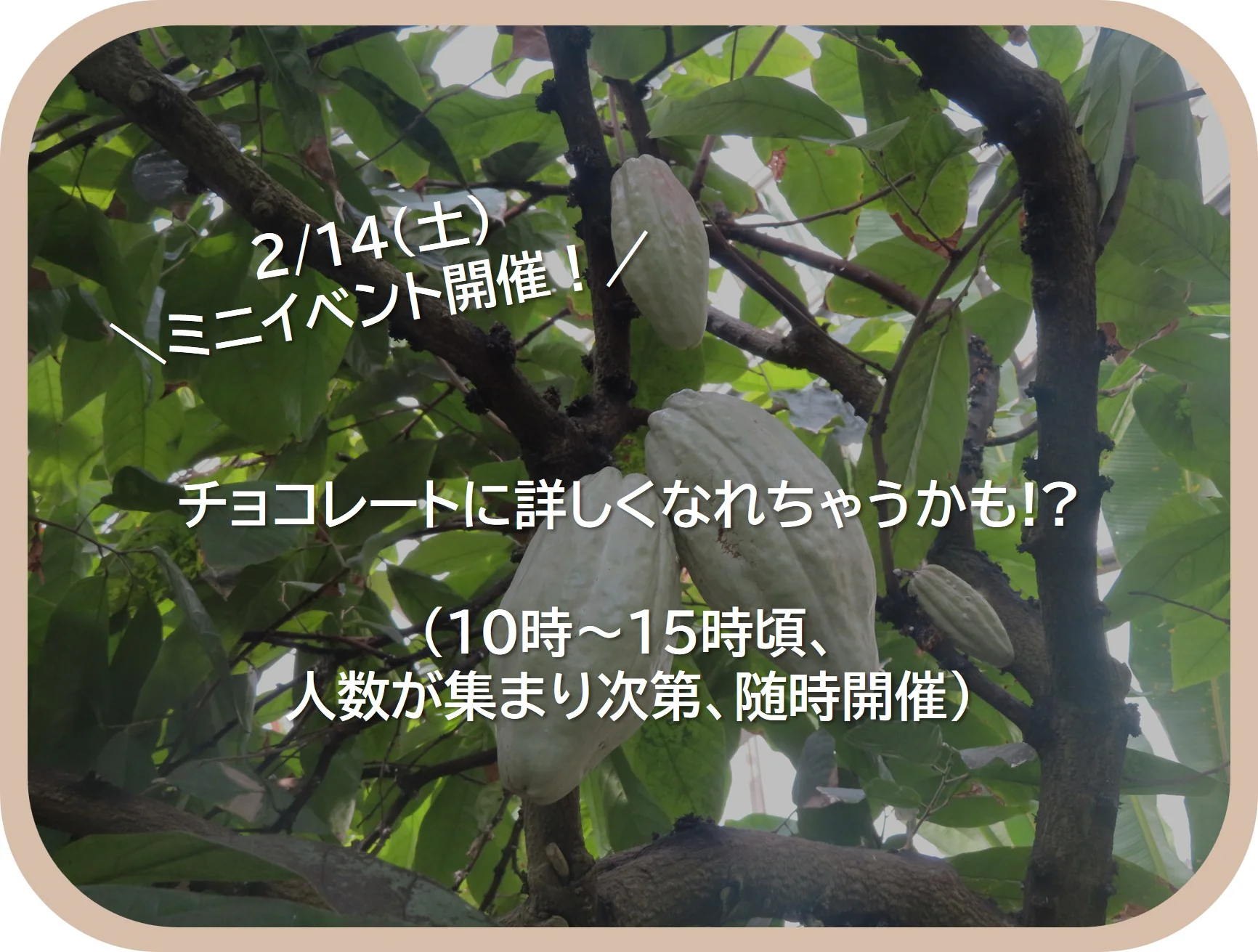 ②ツリー用画像