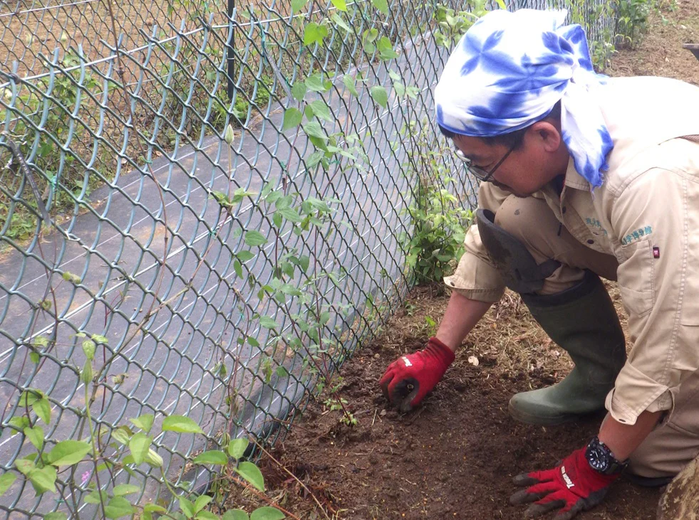 クレマチス園手入れブログ用small