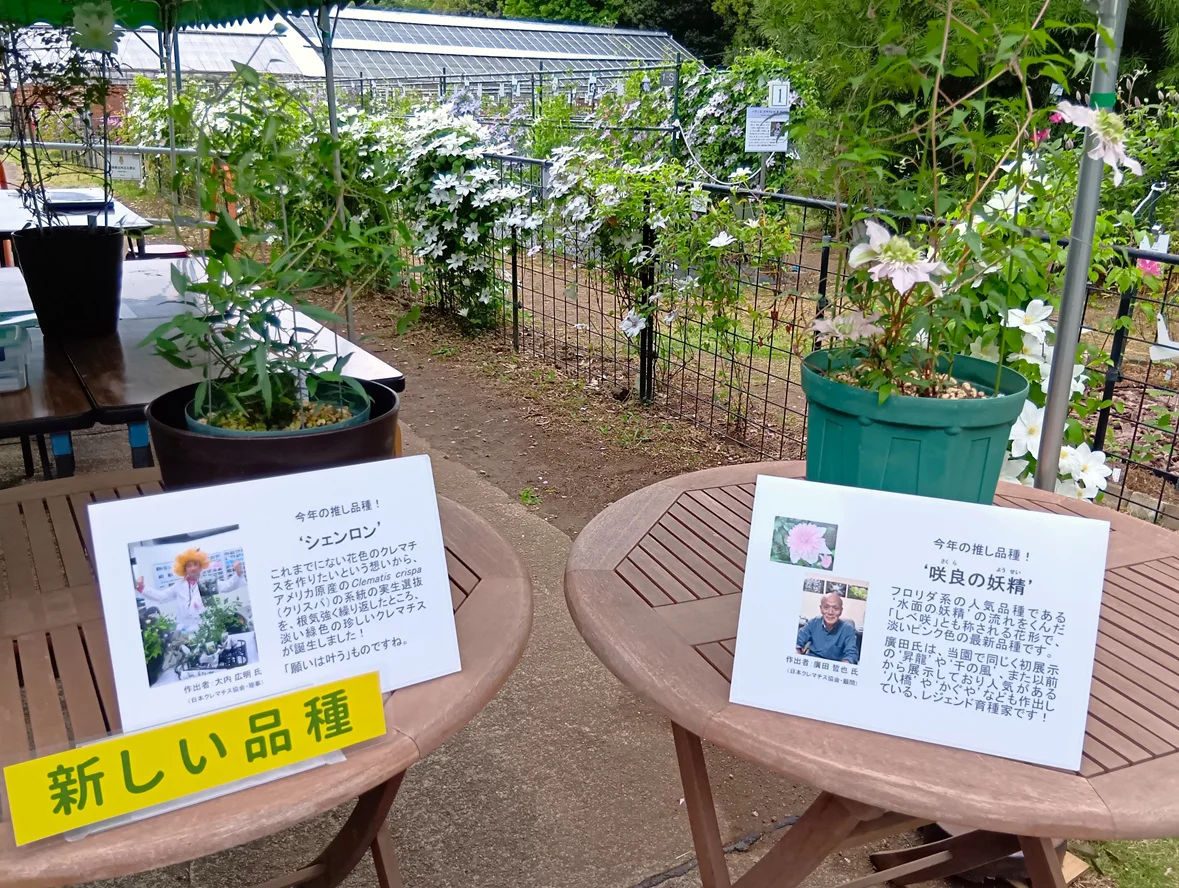 新しい品種展示中