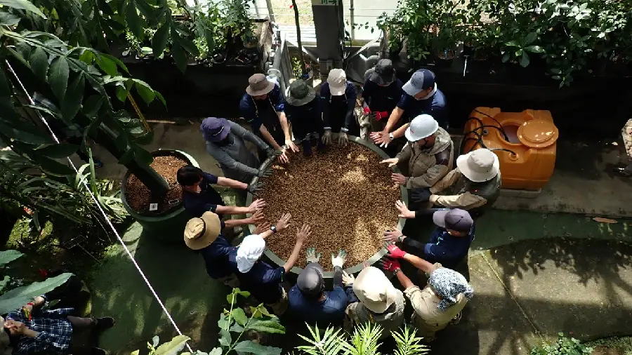 2026年5月25日(月)撮影 | 筑波実験植物園（つくば植物園） Tsukuba