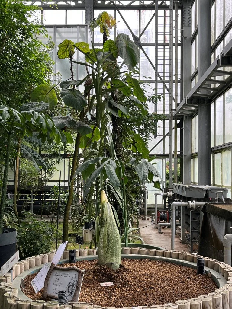 2026年7月10日(金)～7月12日(日) | 筑波実験植物園（つくば植物園