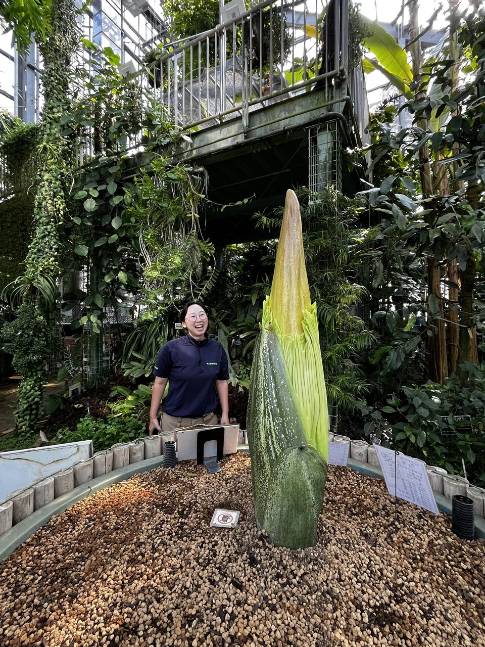 2026年7月15日(水)撮影 | 筑波実験植物園（つくば植物園） Tsukuba