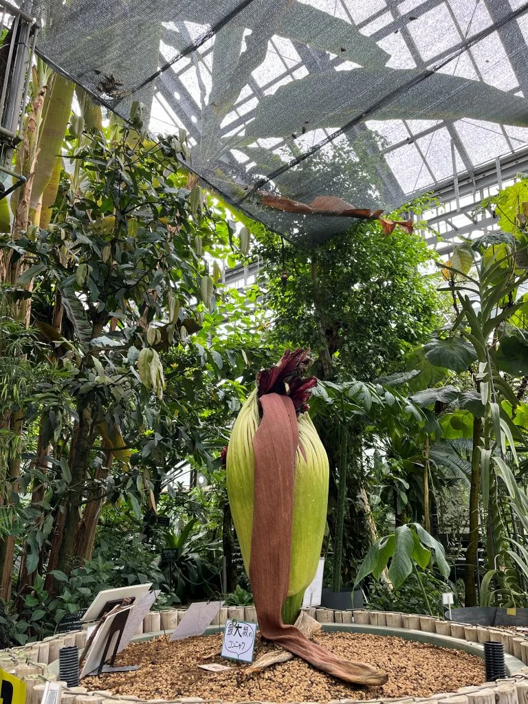 2026年7月28日(火) | 筑波実験植物園（つくば植物園） Tsukuba
