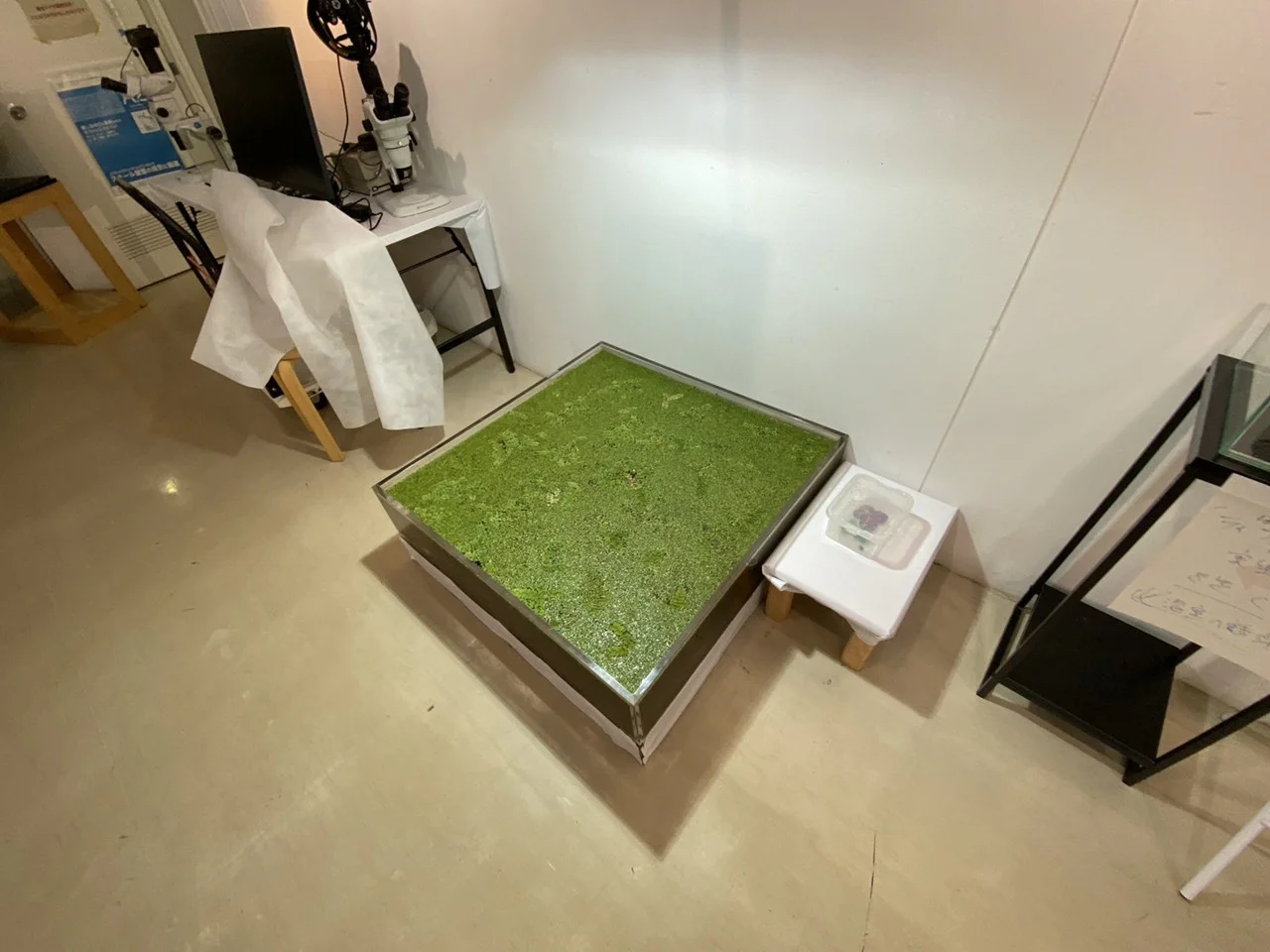 水草展の推しポイント | 筑波実験植物園（つくば植物園） Tsukuba