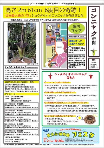 こんにゃく新聞 開花号