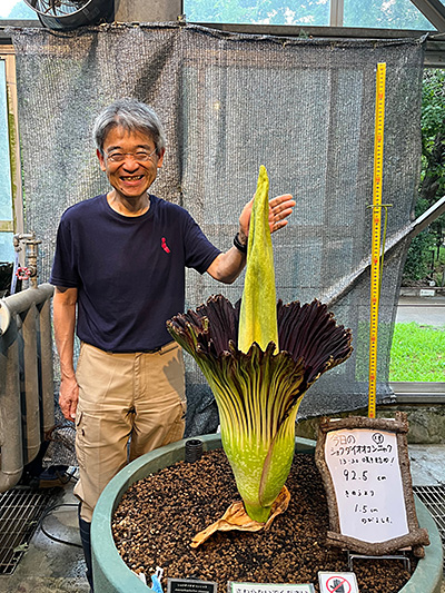 遊川さんの笑顔とショクダイオオコンニャク