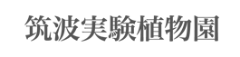 開催地：筑波実験植物園（茨城県つくば市天久保4-1-1）