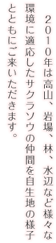 ２０１０年は高山、岩場、林、水辺など様々な環境に適応したサクラソウの仲間を自生地の様子とともにご来いただきます。