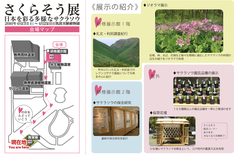 �����炻���W���}�b�v�y�}�g�����A����