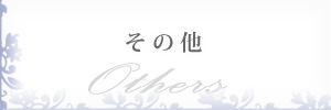 ボタン：その他
