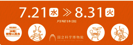 開催期間：2010年7月21日（水曜）～8月31日（火曜）まで