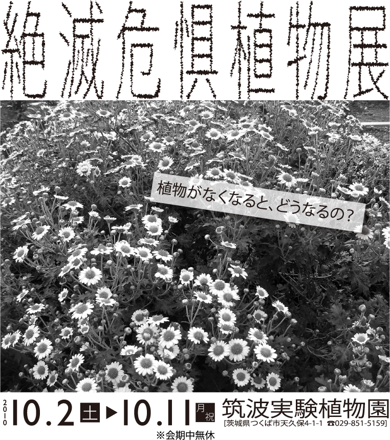 �}�g�����A�����ɂāA2010�N10��2���i�y�j����11���i���E�j�j�ɐ�Ŋ뜜�A���W���J�Â������܂��B