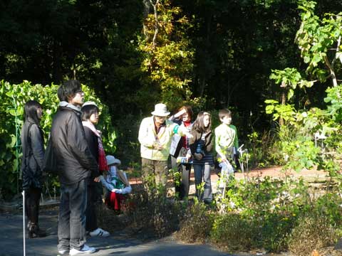 �}�g�����A�����K�C�h�c�A�[�i����ē��j