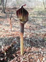 �~�~�i�K�e���i���V���E