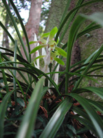 �V��������