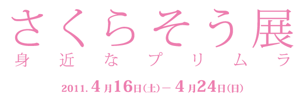 「さくらそう展　身近なプリムラ」 期間：2011年4月16日～4月24日