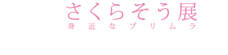 「さくらそう展　身近なプリムラ」