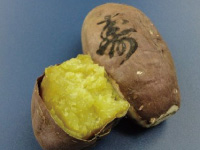 �R�g�u�L�̚�