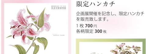 限定ハンカチ